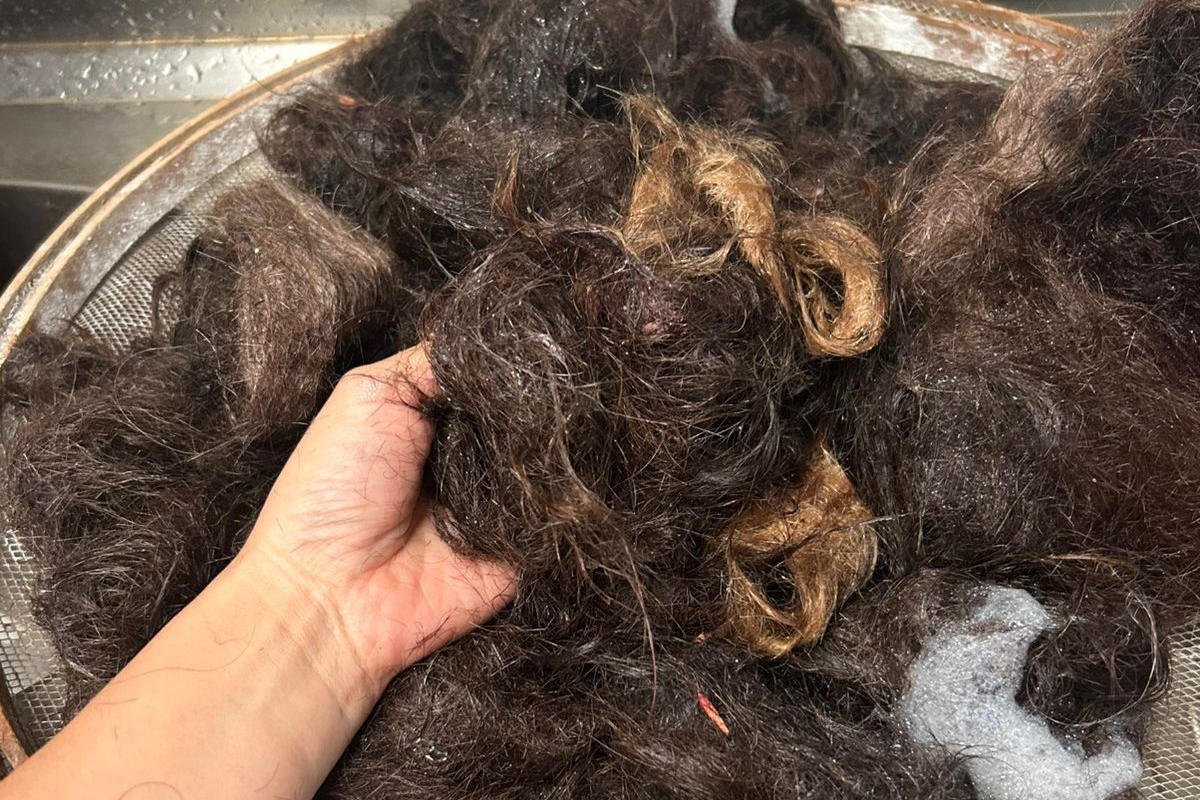 UNIOESTE TRANSFORMAM CABELO EM ADUBO