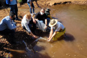 Jundiás e Lambaris são lançados em mananciais de abastecimento de Cascavel - Ação da Sanepar e parceiros visa aumentar a biodiversidade e melhorar a qualidade ambiental - Cascavel, 24/11/2021 - Foto: Sanepar