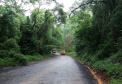 Estado assina ordem de serviço para pavimentação entre Imbaú e Reserva, nos Campos Gerais Foto: DER