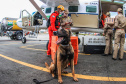 Governo do Paraná envia 10 bombeiros e quatro cães para buscas a desaparecidos em Petrópolis