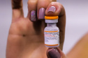 Estado recebe 97 mil vacinas pediátricas contra a Covid-19 para segunda dose