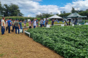 IDR-Paraná apresenta alternativas para uma agricultura mais sustentável e lucrativa nas culturas de feijão e milho