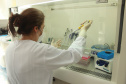 Laboratório da Adapar é credenciado para diagnóstico de Influenza Aviária e Doença de Newcastle por PCR em tempo real