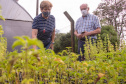 Parceria entre Hospital Universitário e Colégio Agrícola inicia produção de ervas terapêuticas