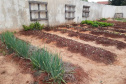 Projeto da UEL incentiva adoção da compostagem e horta comunitária em escolas municipais da região