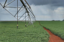 Irrigantes e aquicultores devem atualizar cadastro para manter desconto na conta de luz