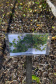 Litoral terá mais de 100 mil metros quadrados de restinga plantada em 2024