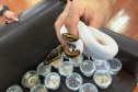 Polícia Militar do Paraná apreende animais silvestres e grande variedade de cobras - 