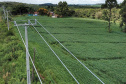 PR Trifásico já alcança 7.913 quilômetros de novas redes rurais em todo o Paraná