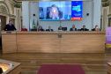 Estado apresenta políticas de empregabilidade para PCDs na Câmara de Curitiba