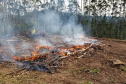 Estado alerta para necessidade de cuidados contra incêndios florestais