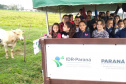 Polo de Pesquisa e Inovação do IDR-Paraná, em Paranavaí, recebe visitas de estudantes -