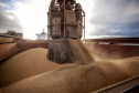 Porto espera exportar cerca de 6,6 milhões de toneladas de grãos e farelo de agora até o final do ano