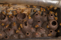MORRETES (BRASIL), 10/11/2022;  Agricultores de Morretes recebem curso apicultura em uma propriedade com criacção de abelhas, Paraná, Brasil, em 10 de Novembro de 2022. Foto: Hedeson Alves/TECPAR