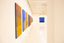 A exposição “Recortes de Um Lugar”, da artista paranaense Mazé Mendes, pode ser vista até domingo (27/11) no Museu Oscar Niemeyer (MON). 