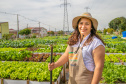 Hortas urbanas sob linhas de energia produzem toneladas de alimentos orgânicos no PR