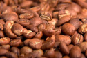 Melhor café do Paraná será conhecido quinta-feira, em Apucarana