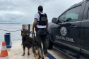 PCPR realiza fiscalização no Litoral com auxílio de cães policiais