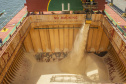  Porto de Paranaguá espera carregar sete milhões de toneladas de grãos e farelos no 1º trimestre do ano