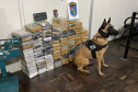 Polícia Militar apreende mais de 140 quilos de cocaína em Paranaguá