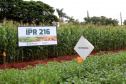 Com apoio do IDR, Smart Farm de Londrina reuniu inovações digitais do agronegócio