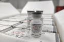 Sesa inicia distribuição de vacina bivalente contra a Covid-19 para início da campanha 2023 