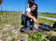 Projeto do IAT em parceria com a prefeitura de Pontal do Paraná recuperou uma área de 350 metros quadrados de restinga