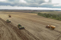 Com 22,18 milhões de toneladas estimadas, Paraná pode colher maior safra de soja da história