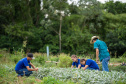  Educação aumenta alimentos orgânicos na merenda e ensina prática nas escolas