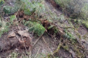 PR-090 em Campo Largo é atingida por queda de barreira