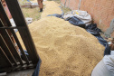 Após denúncia pelo 181, Polícia Militar apreende três toneladas de soja furtadas em Paranaguá