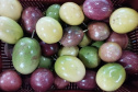 IDR-Paraná incentiva produção de frutas orgânicas em Arapongas