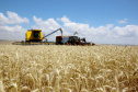 Safra de grãos 2022/2023 no Paraná pode chegar a 47,12 milhões de toneladas
