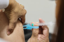 Ceasa Curitiba terá vacinações da Covid Bivalente e da Gripe
