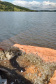 Copel repovoa rio Iguaçu com espécie de peixe ameaçada de extinção