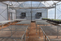Alta tecnologia de nova casa de vegetação da Agronomia aumentará qualidade de experimentos 