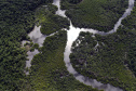 No Dia da Mata Atlântica, Paraná celebra 8 milhões de mudas de espécies nativas distribuídas