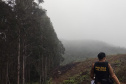Polícia Militar realiza operação contra crimes ambientais na Região Metropolitana de Curitiba