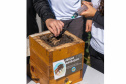 Colégio Agrícola da Lapa abraça projeto de abelhas nativas e leva tema às aulas