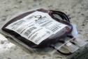 Junho Vermelho: sistema do Hemepar é destaque nacional em rastreamento de sangue