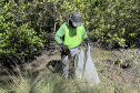 2º mutirão de limpeza de manguezais organizado pela Portos do Paraná retira quase 2,5 toneladas do entorno de Antonina