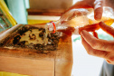  O produtor Erich de Barros Lange participou da capacitação realizada pelo Tecpar e já instalou caixas de abelhas na sua chácara em Morretes. 