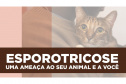 Paraná é o primeiro Estado a oferecer gratuitamente o medicamento para tratar animais com esporotricose