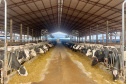 Crédito de longo prazo do BRDE impulsiona produção leiteira em Arapoti