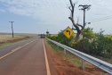 Rodovia entre Doutor Camargo e Floresta tem obras de segurança viária e recuperação de erosão