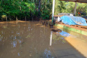 Danificado pela chuva, o viveiro do IAT em Pitanga perdeu cerca de 60% da produção de mudas.