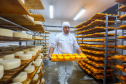 Indicação geográfica impulsiona queijos de Witmarsum nos mercados nacional e internacional