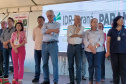 IDR-Paraná lança nesta terça-feira nova cultivar de feijão em Pato Branco