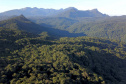 No Dia das Florestas, Paraná celebra novo indicador de redução do desmatamento ilegal