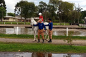 Terapia com cavalos oferecida pela PMPR colabora na qualidade de vida de pessoas com deficiência 